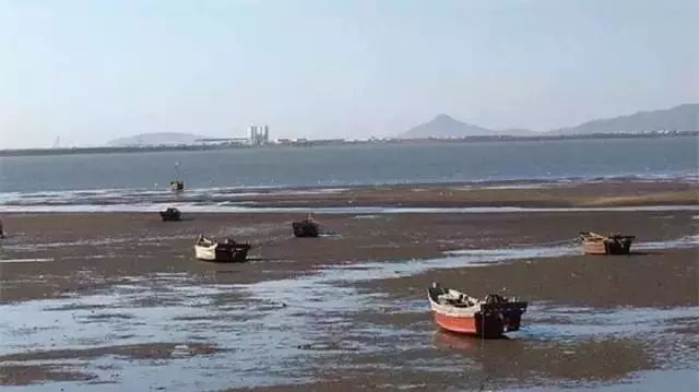 大连赶海全攻略金石滩,大连本地人最爱去的赶海海滩