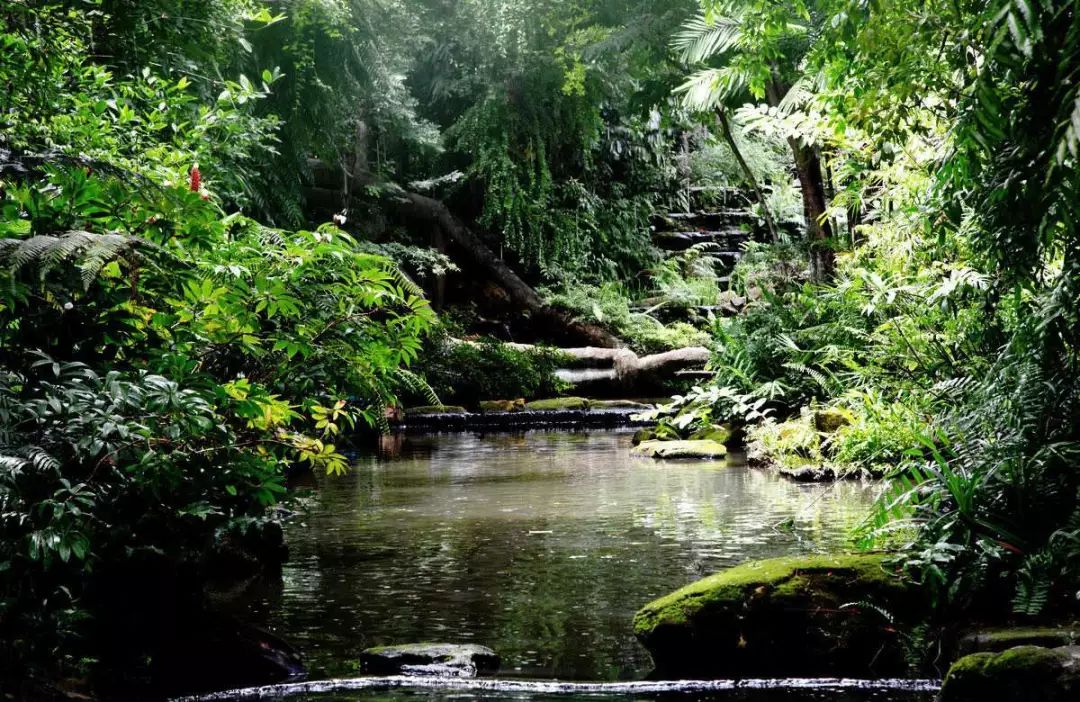 泰国蚊子咬止痒膏,防蚊虫叮咬药膏推荐泰国