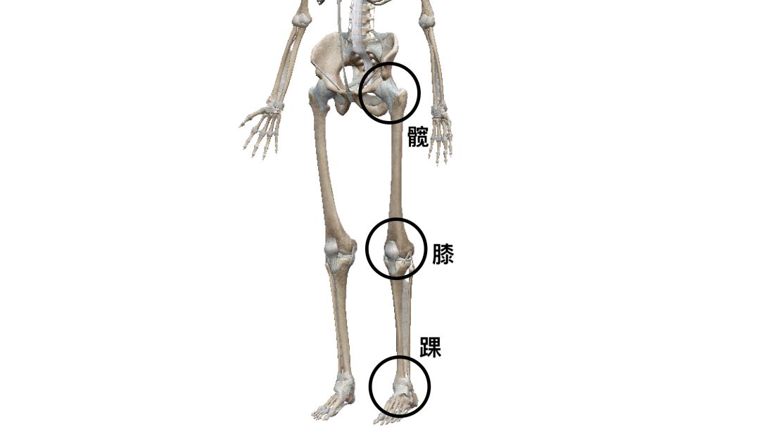 腿粗还不直小腿还外翻,怎么走路小腿才不会粗