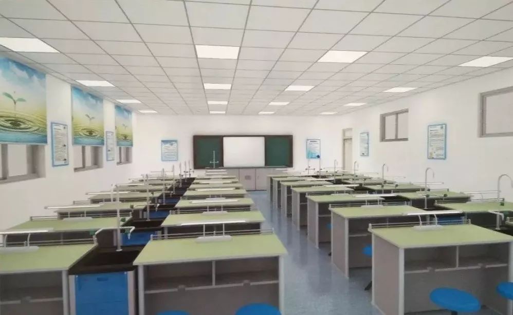 六安市最新学校事件,六安学校事件最新