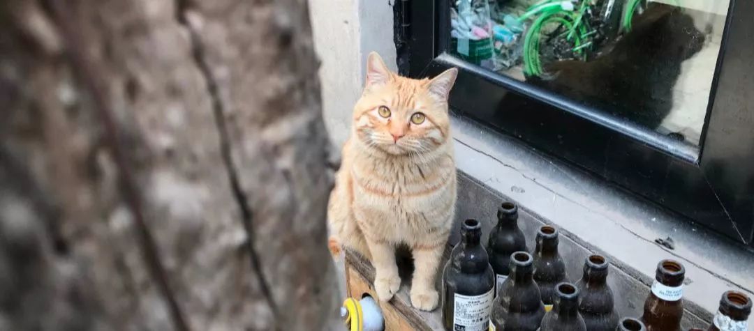 该以怎样的表情,面对周一?|一周新书