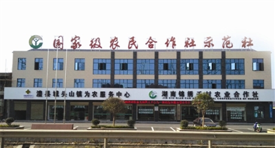 供销社巩固脱贫攻坚助力乡村振兴,常德市乡镇供销社怎样申请