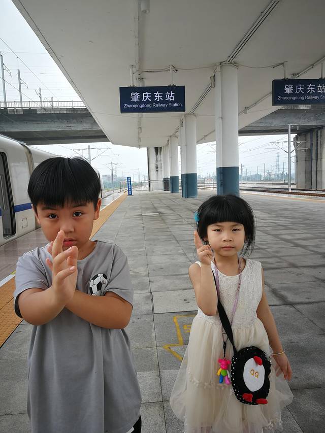 肇庆七星岩鼎湖山自助游,肇庆鼎湖山和七星岩相距多远