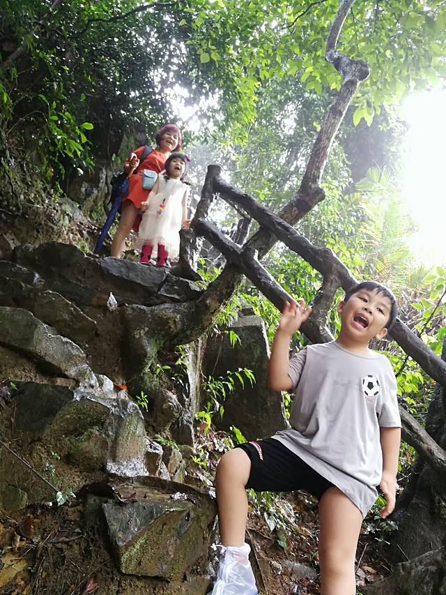 肇庆七星岩鼎湖山自助游,肇庆鼎湖山和七星岩相距多远