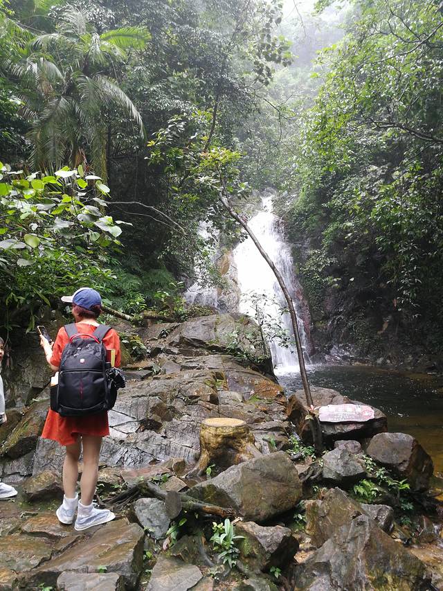 肇庆七星岩鼎湖山自助游,肇庆鼎湖山和七星岩相距多远