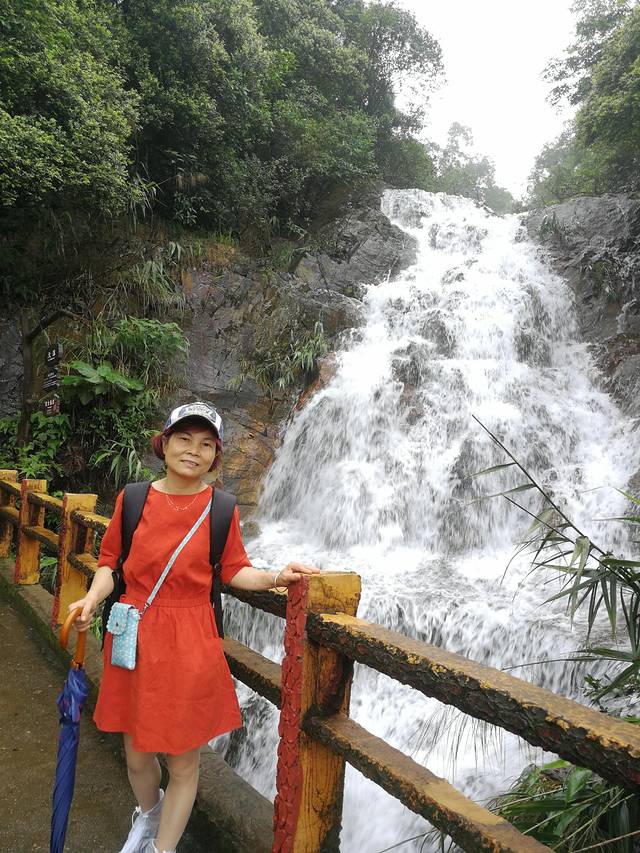 肇庆七星岩鼎湖山自助游,肇庆鼎湖山和七星岩相距多远