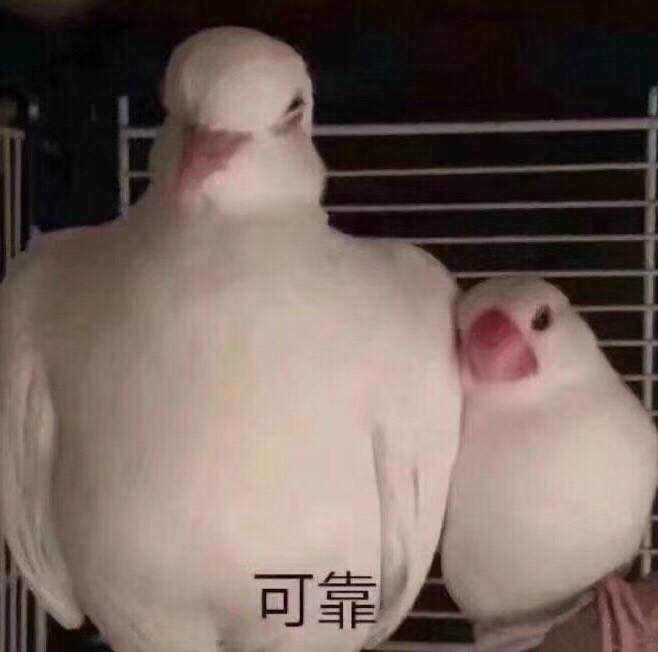 大s徐熙媛综艺被认成18岁,大s从18岁到40岁