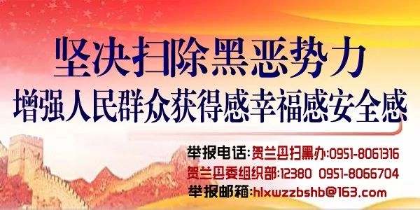 宁夏这些人和集体获表彰啦！石泰峰咸辉接见受表彰代表！