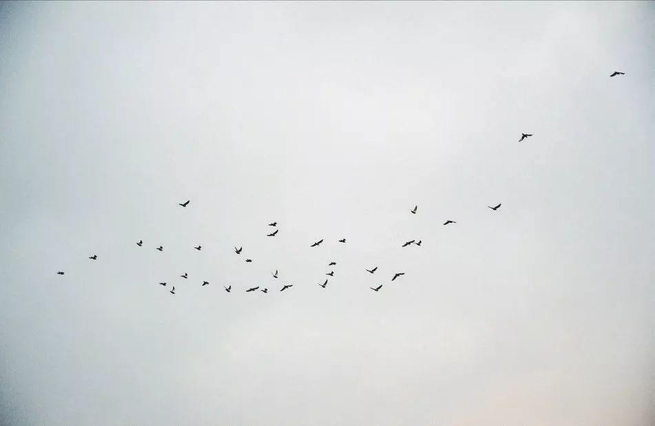 手机拍照构图方法和技巧,手机拍风景构图技巧