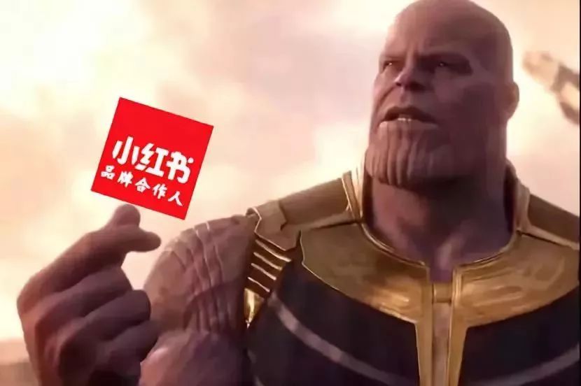 小红书对kol的扶持力度,小红书对kol有什么影响