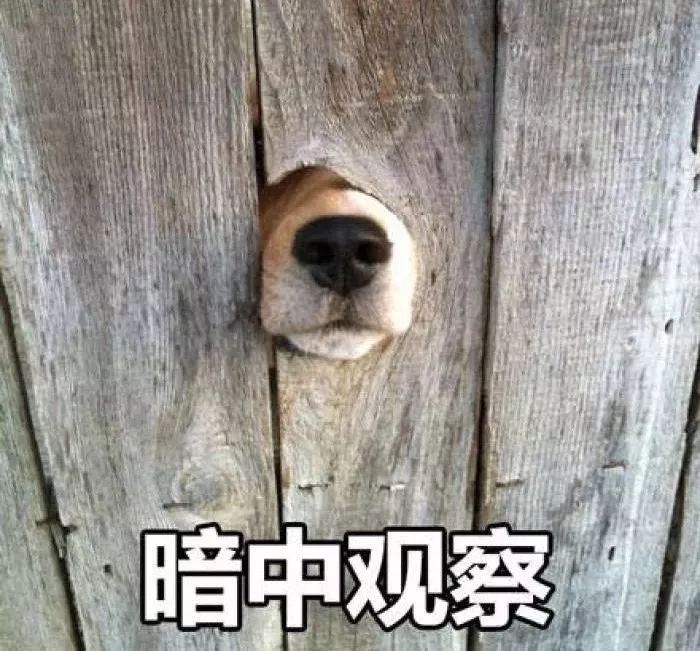 刚发现微信的新功能,微信新功能可以隐藏好友吗