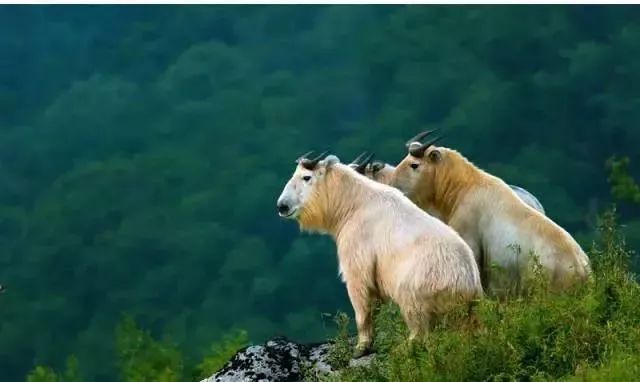 陕西2018年被评全国最美十二个县,陕西最美县域