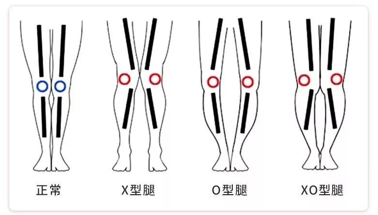 刘涛健身惊艳,刘涛沈月瑜伽