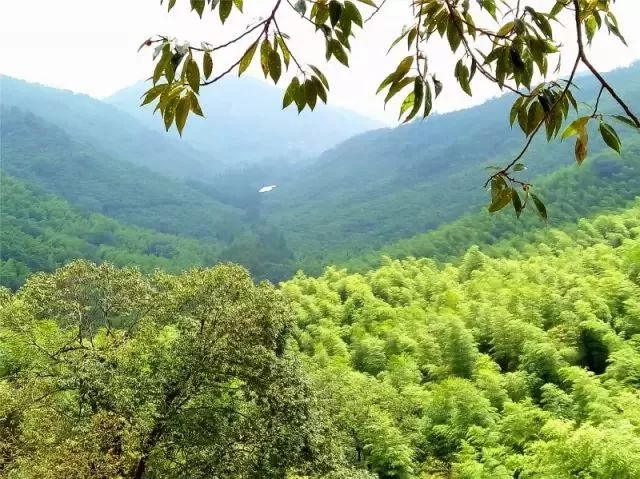 余杭免费的十大景点,老余杭附近游玩免费景点