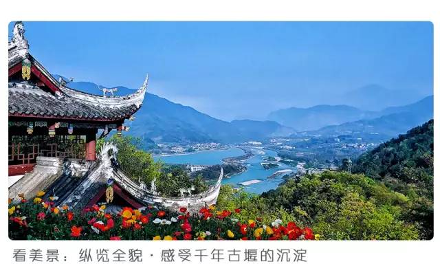 大熊猫铲屎官,都江堰熊猫谷铲屎官报名