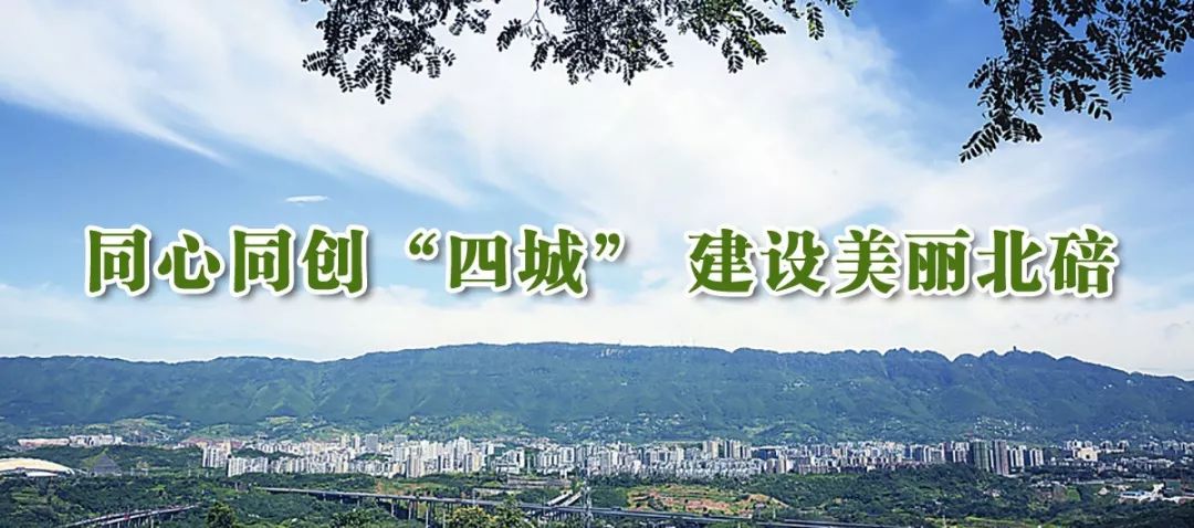 重庆政务服务网一渝快办,全国政务服务平台小程序