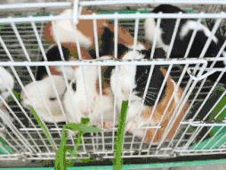 集美最适合去的地方,集美值得去的地方