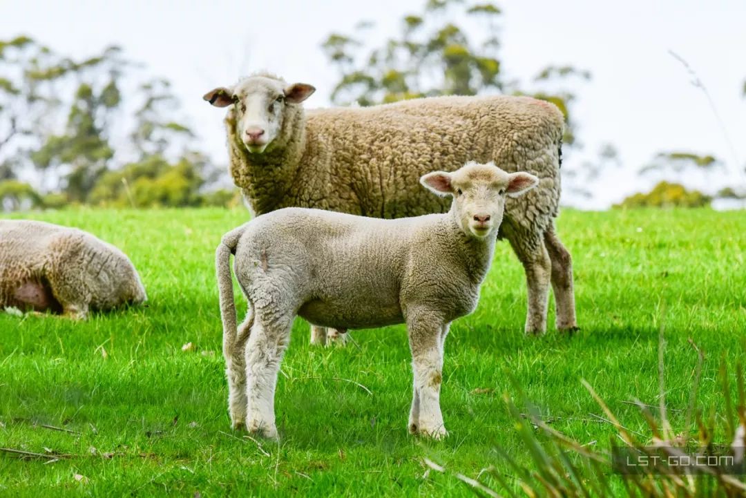 这些海岛人少景美不输马代,马尔代夫一价全包亲子游岛屿推荐