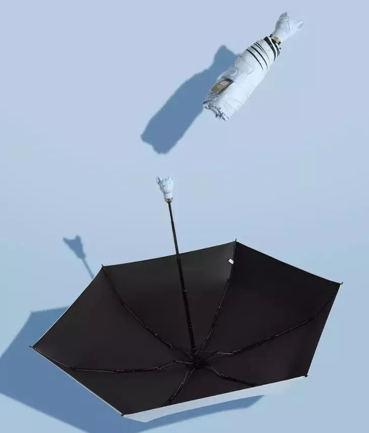 不惧台风的雨伞,无惧风雨的摩托车雨衣