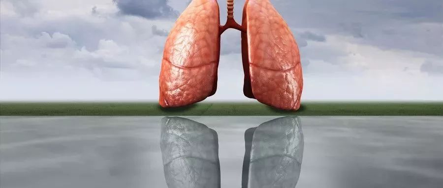 21岁女孩确诊肺癌晚期5天后离世,年仅26岁因咳嗽确诊肺癌晚期