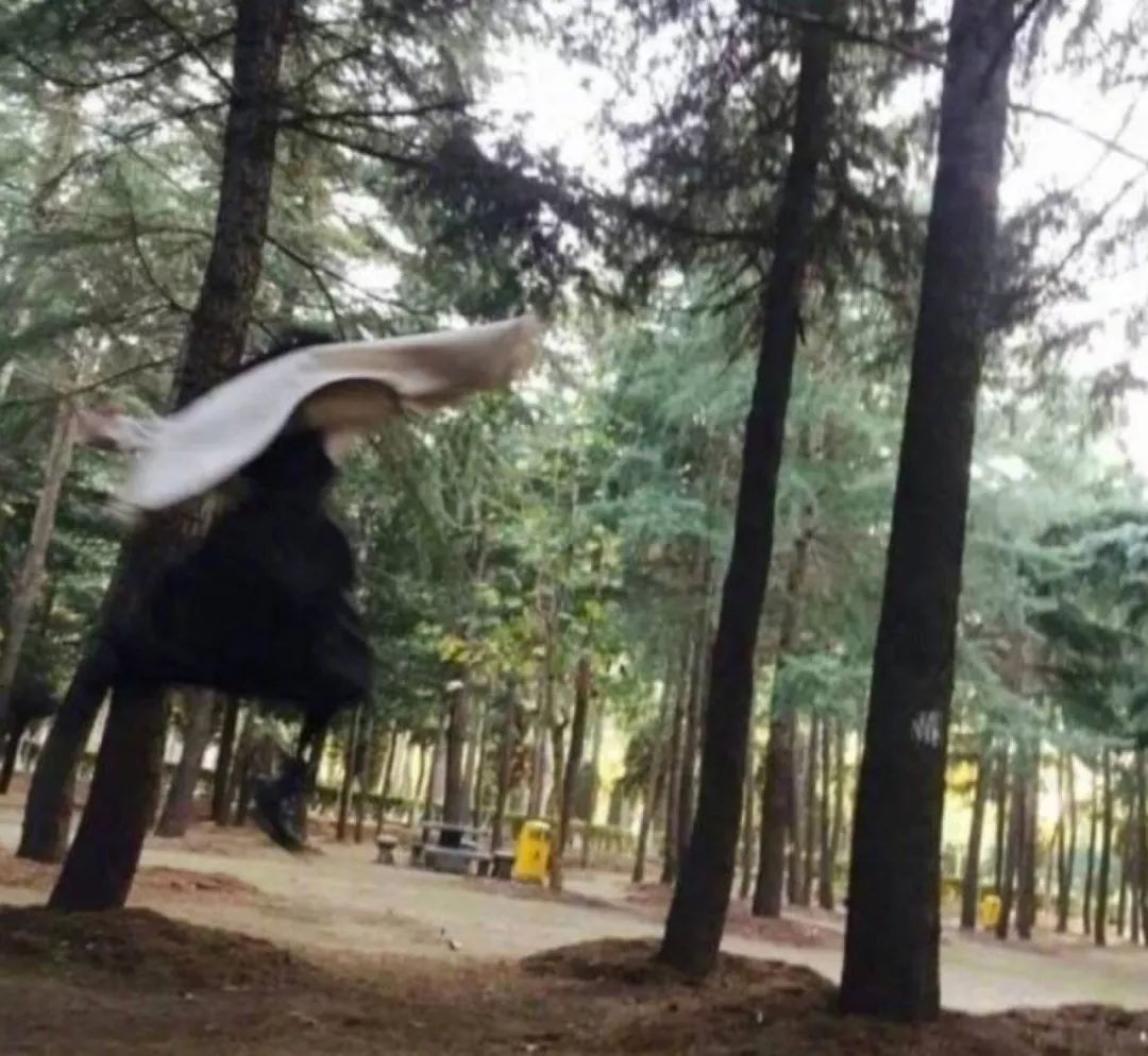 不小心看到父母的对话,发现妈妈和老公聊天记录怎么办