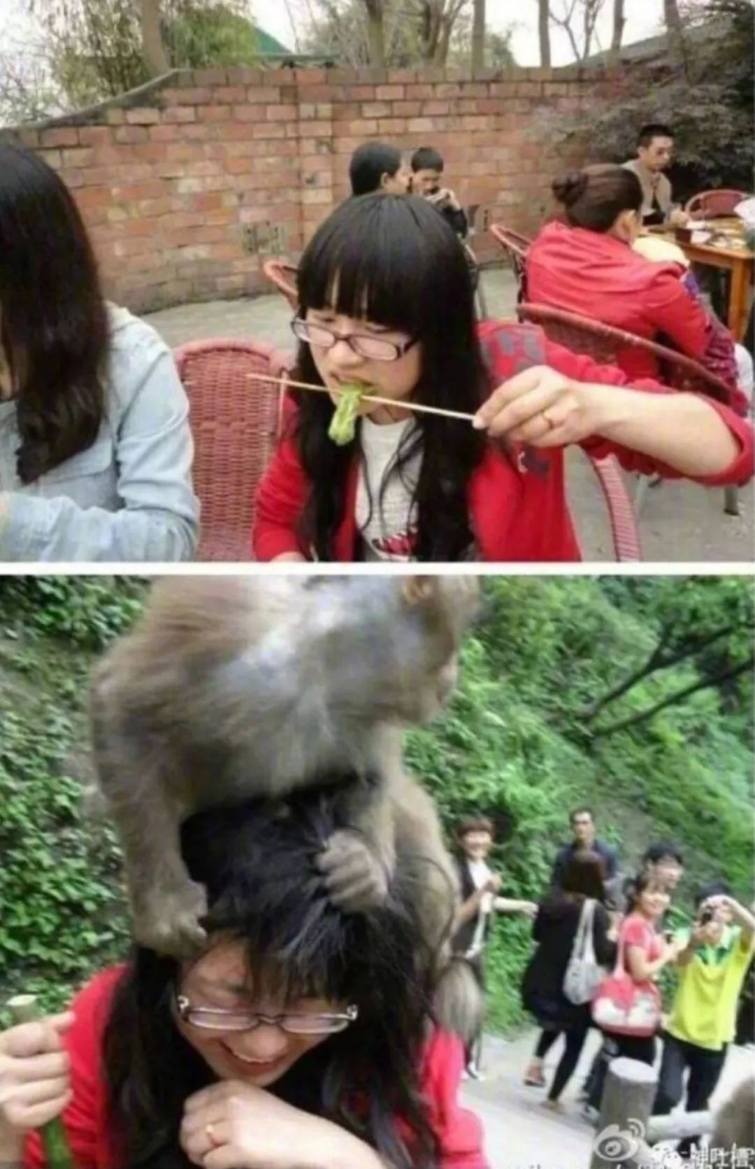 不小心看到父母的对话,发现妈妈和老公聊天记录怎么办