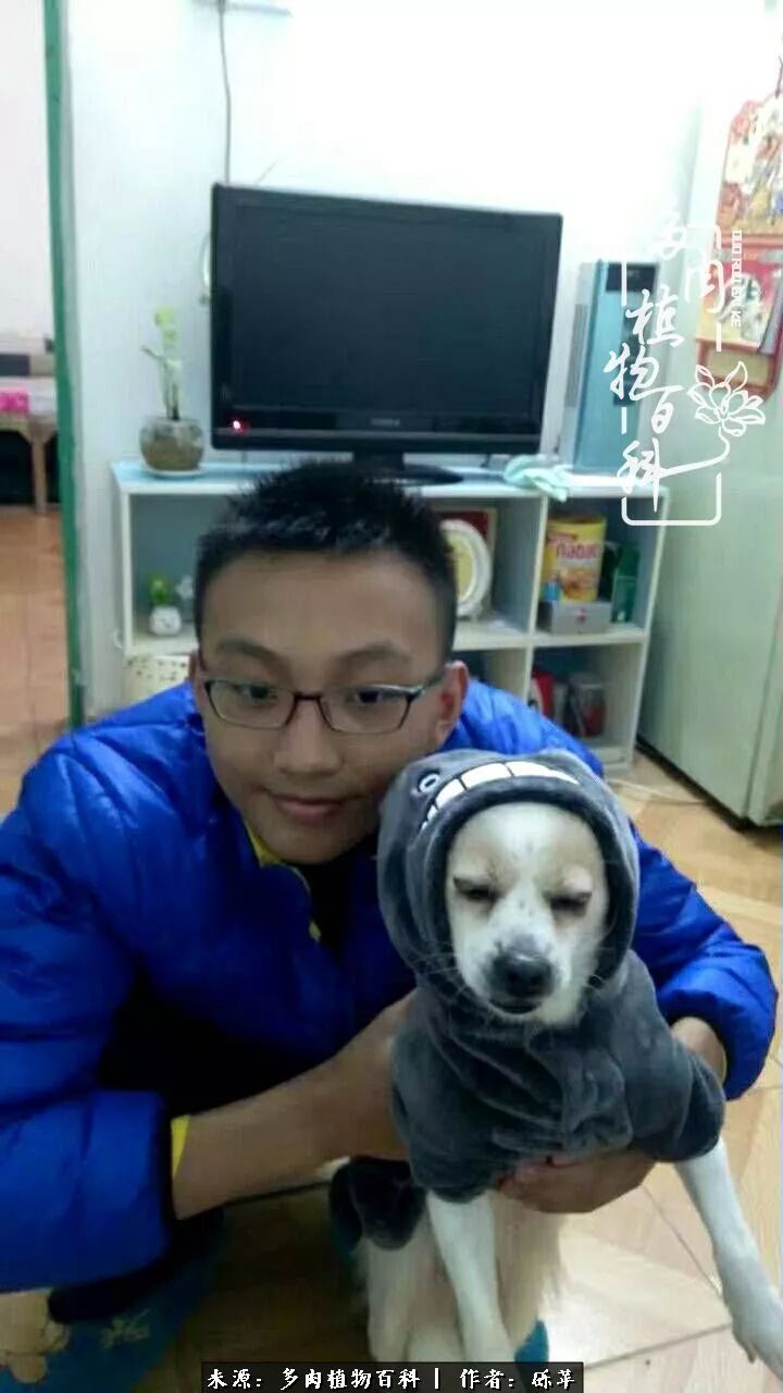 养多肉一个人就可以玩到天荒地老,养多肉的幸福其实很简单