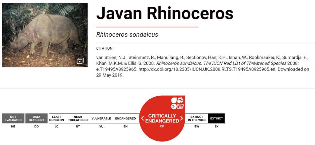 这一回，用了86年的“鳄鱼logo”再次被换，只为保护濒危动物！网友：这是2019年最棒的公益