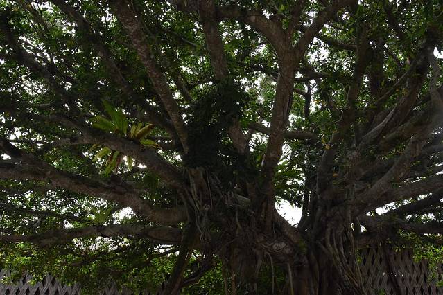 冲绳岛上的人间仙境,冲绳城市
