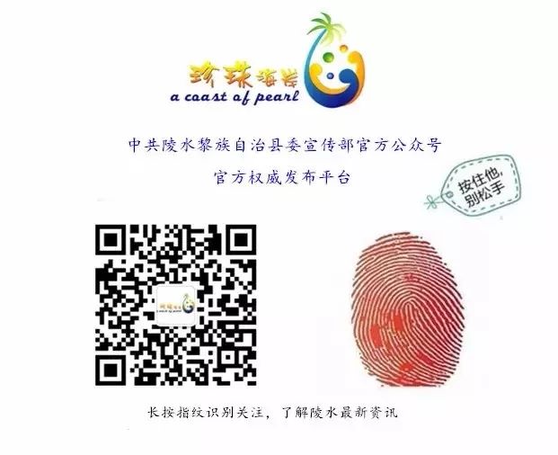 陵水公安交警再曝光酒驾,醉猫被查获