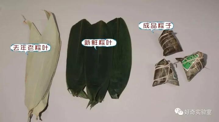 粽叶绿的有点蓝还很软正常吗,鲜绿的粽叶安全吗