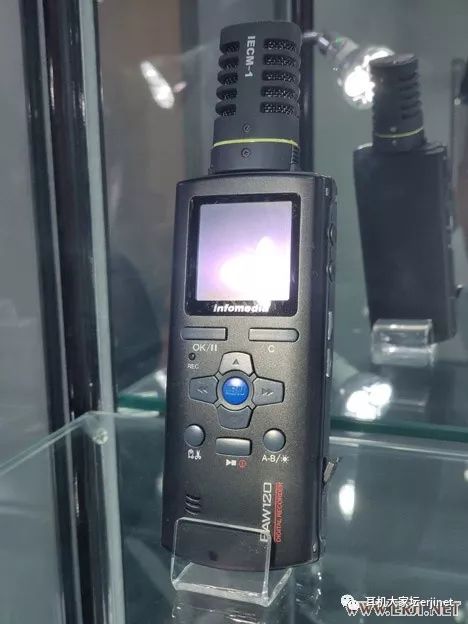 低调的巨人日本,低调的巨人