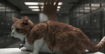 出续集了！我赌6月院线爆款被它预定