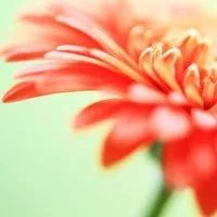 世界环境日垃圾,世界环境日环境卫生整治