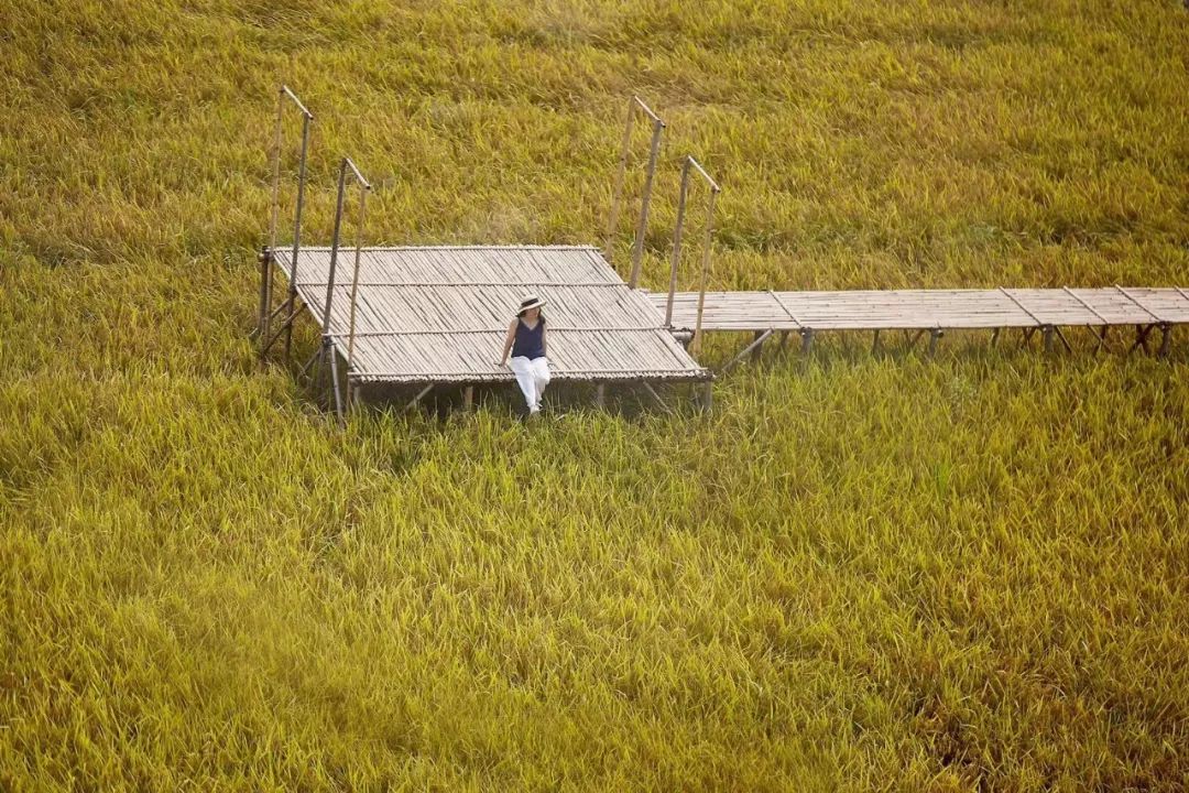 7个闺蜜在稻田里爆改了个“玻璃盒子”，只为兑现养老之约，却意外走红