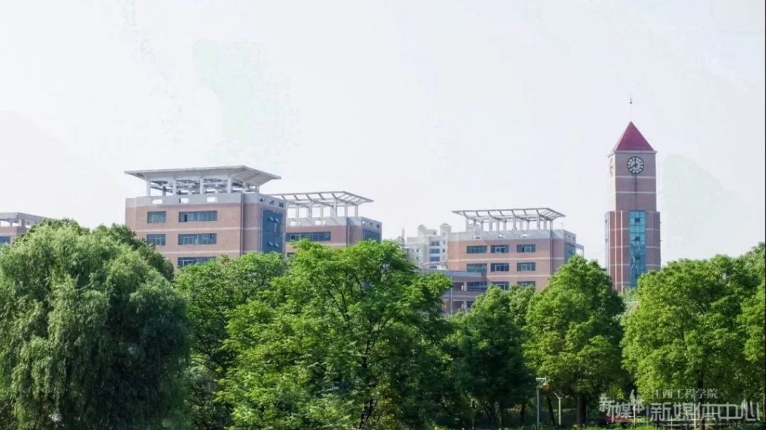 端午节特刊,端午特刊