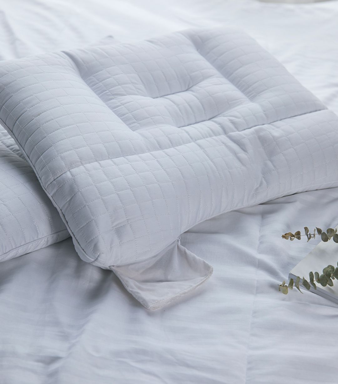 产品测评|关于荞麦枕，用过的人有话说