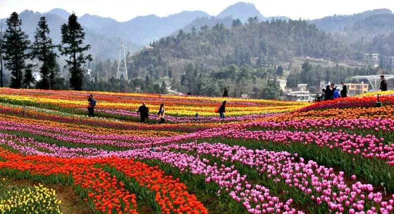 端午节哪里好玩贵州贵阳,贵州端午节哪个地方最热闹