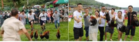 端午节哪里好玩贵州贵阳,贵州端午节哪个地方最热闹