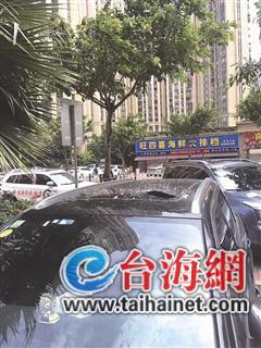 福建厦门高空丢酒瓶,厦门高空掉落私家车