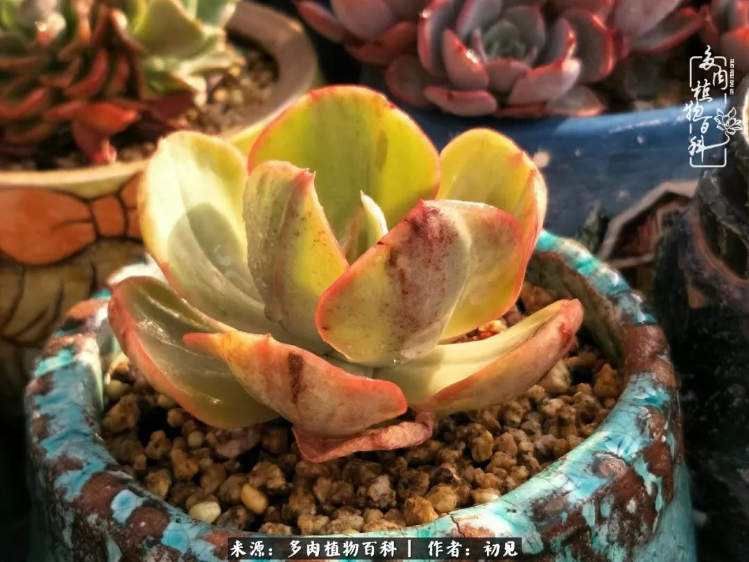 紧张的高三生活也需要适度的放松,紧张焦虑高考