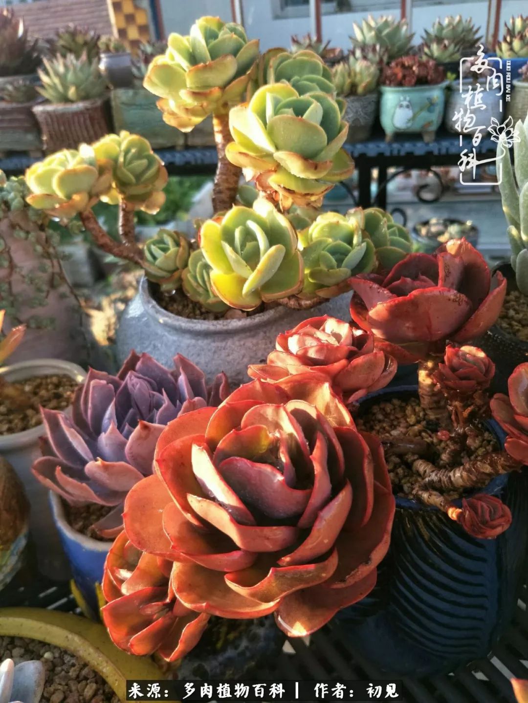 紧张焦虑高考,高考紧张时刻有你陪伴