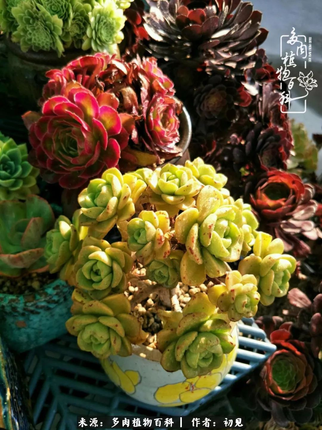 紧张焦虑高考,高考紧张时刻有你陪伴