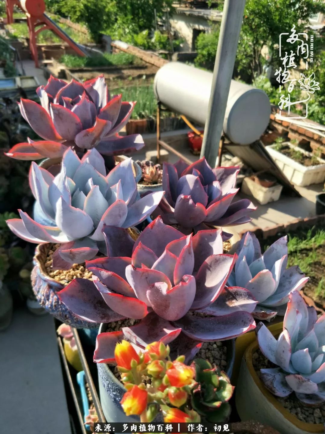 紧张焦虑高考,高考紧张时刻有你陪伴