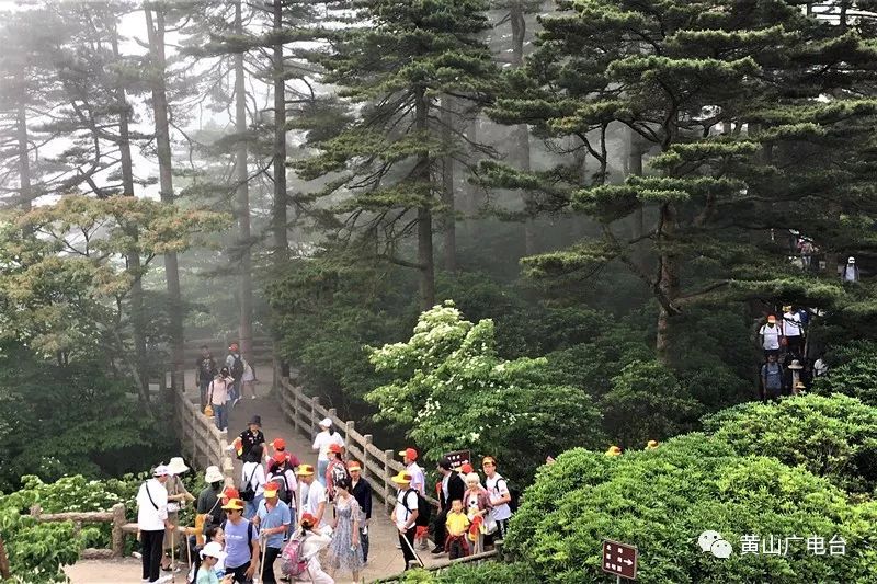 黄山自然山水风光美图,黄山美图高清图片大全