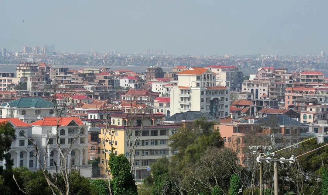 莆田哪些假鞋有碳板,莆田有几家假鞋