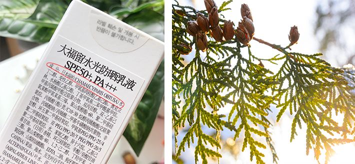 明星们都在用的平价防晒,平价好用又大瓶的防晒