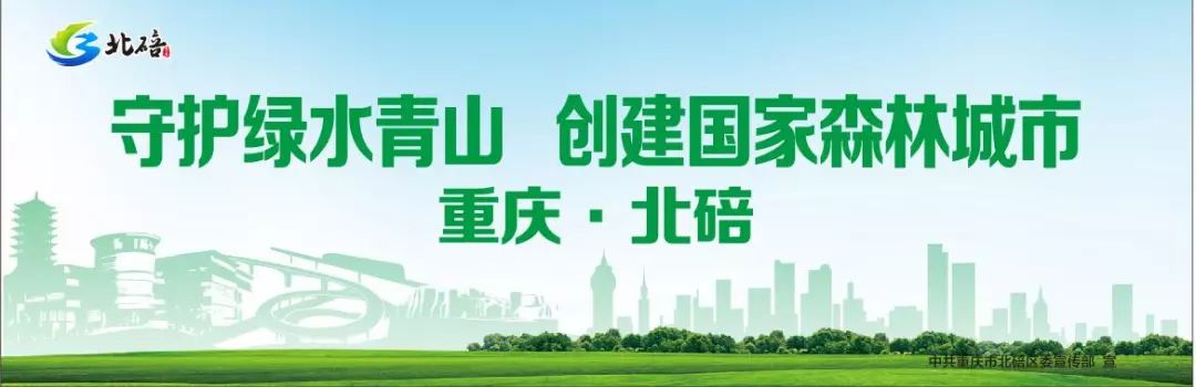 重庆公招事业单位95人,重庆建筑工程职业学院毕业生招聘