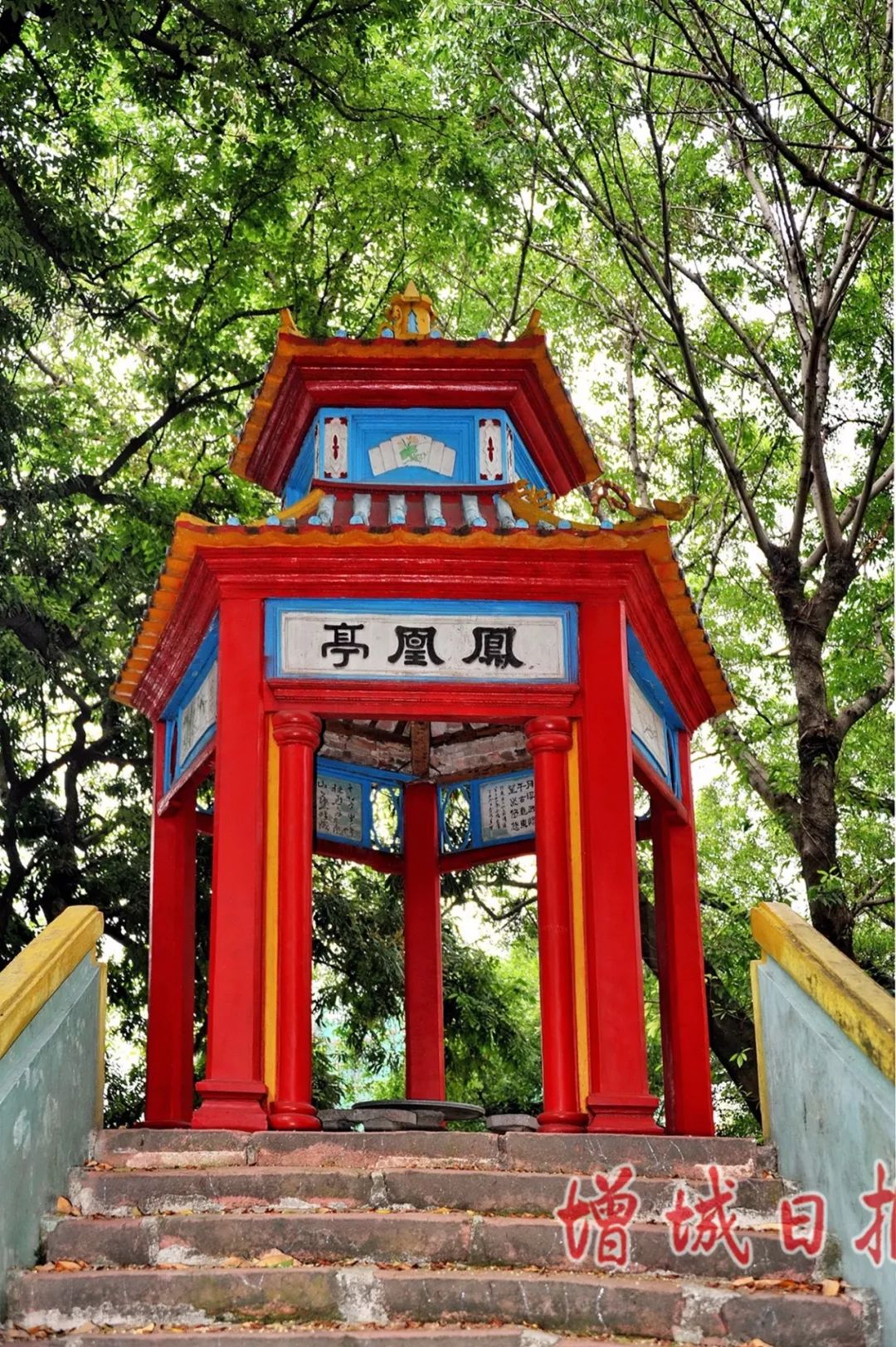 60张照片回忆成长,60多张老照片的回忆