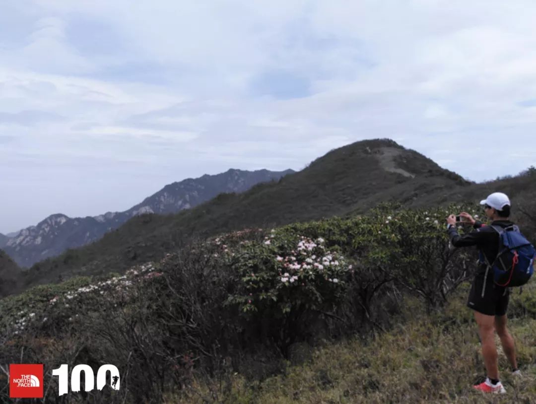 tnf100官网成绩查询,tnf100秦岭国际越野跑